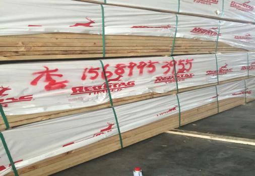 辐射松板材