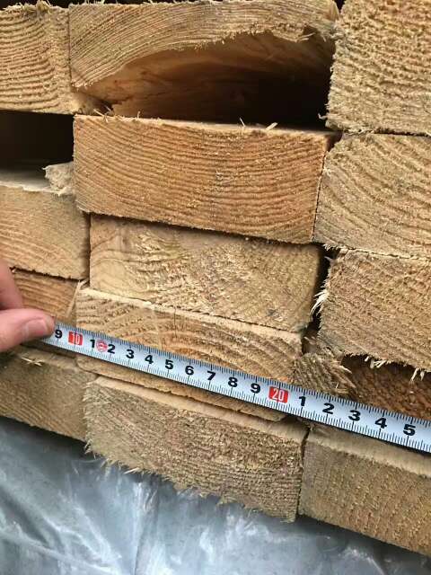 欧洲云杉