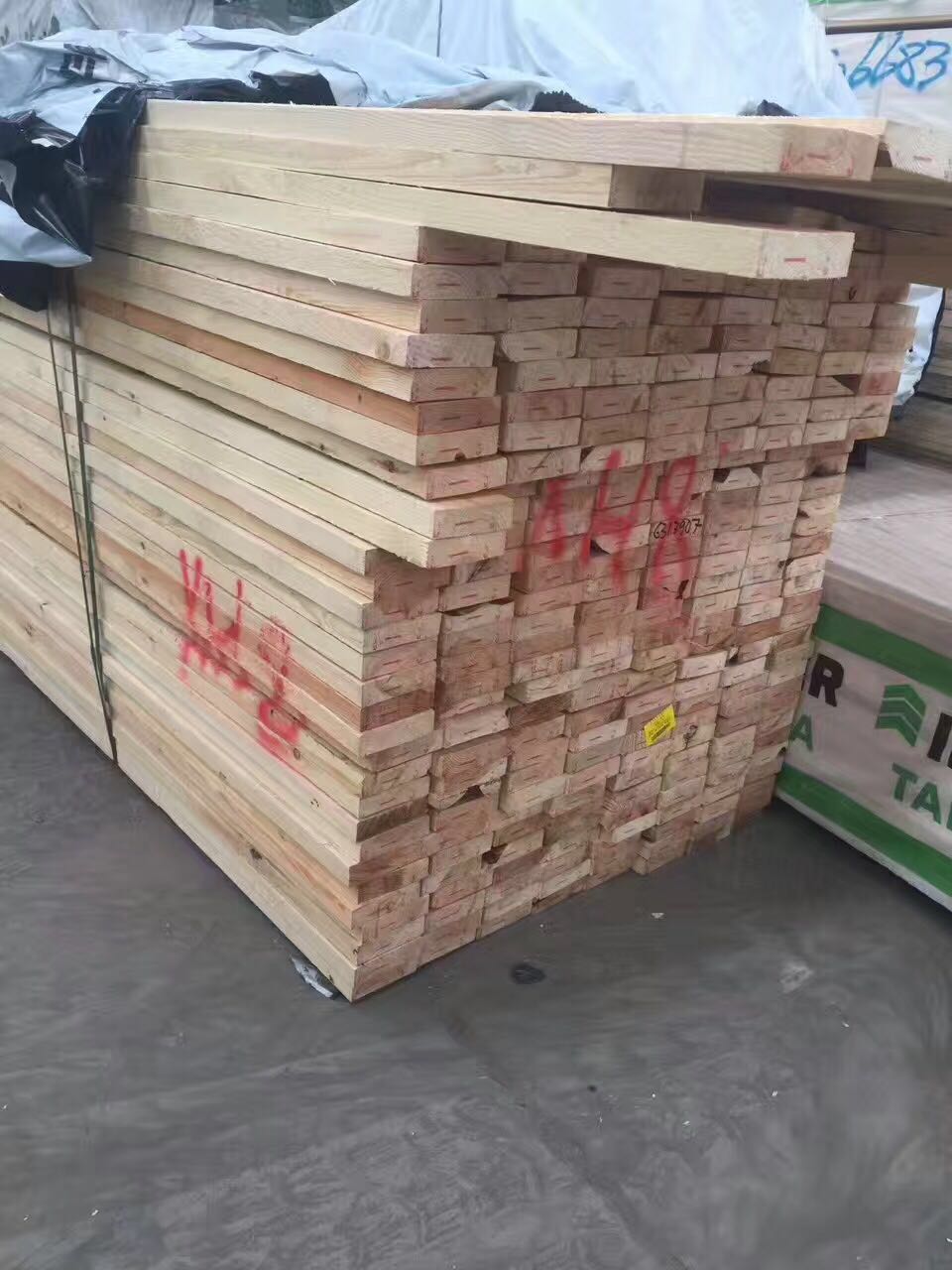 欧洲云杉