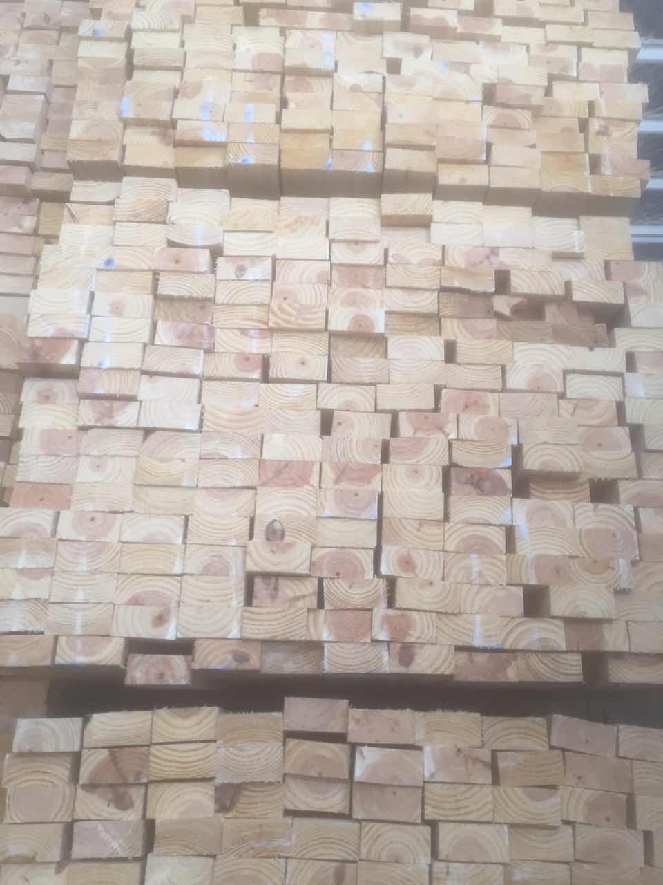 火炬松
