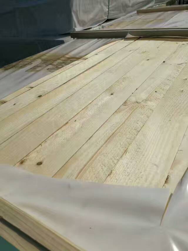 供应伊利姆云杉