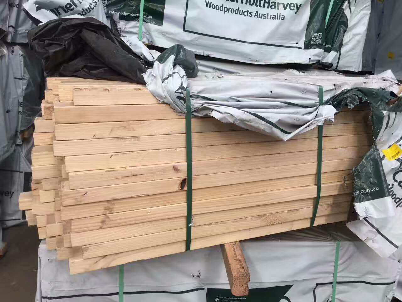 供应卡达维辐射松
