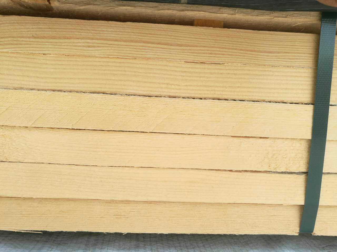 供应樟子松