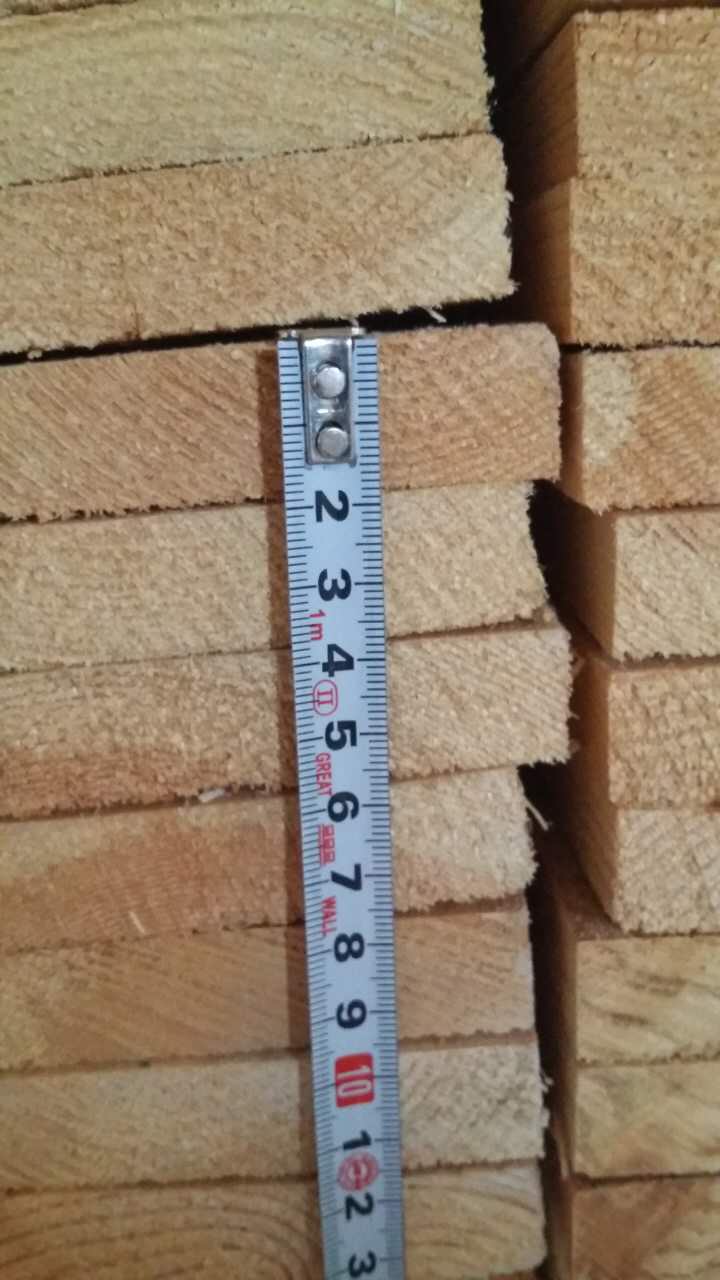 供应樟子松