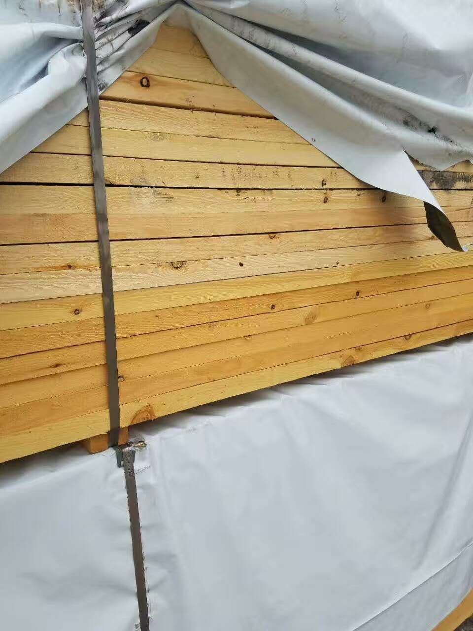 供应SF级樟子松