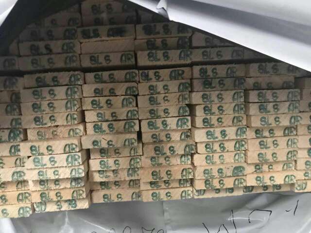 俄罗斯云杉