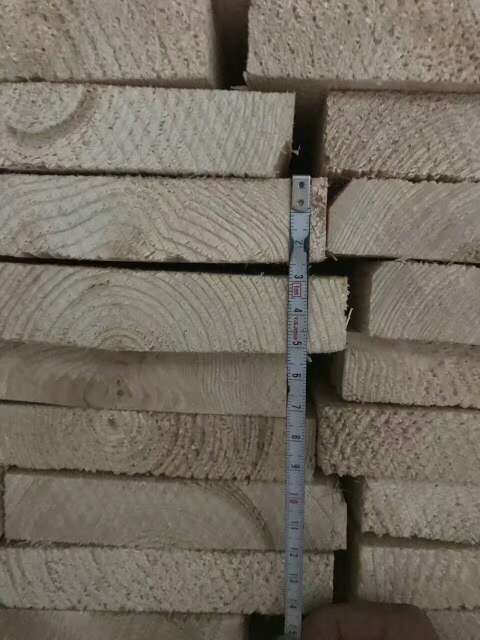 俄罗斯云杉SF级