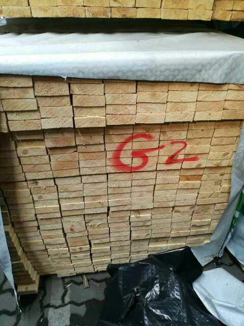 优质SF级樟子松