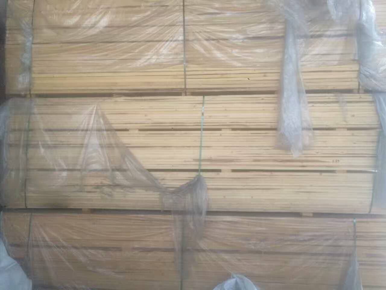 供应俄罗斯云杉