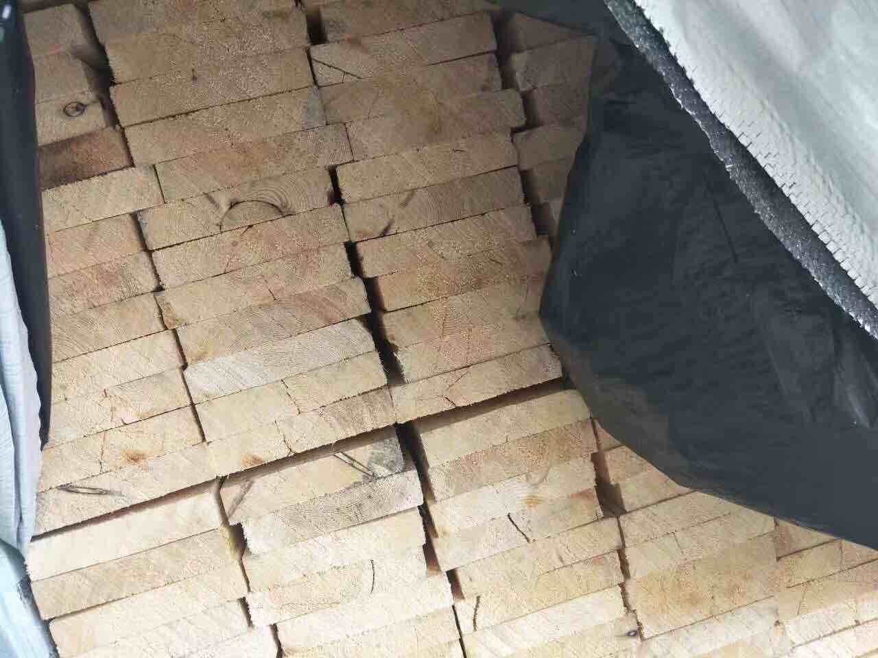 TSLK樟子松