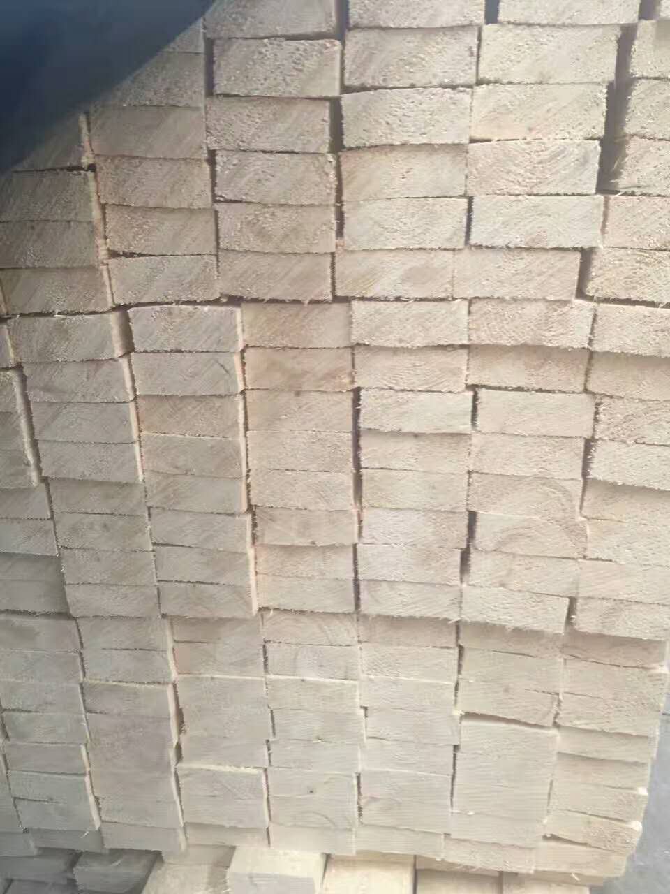供应芬兰云杉 （SF级）