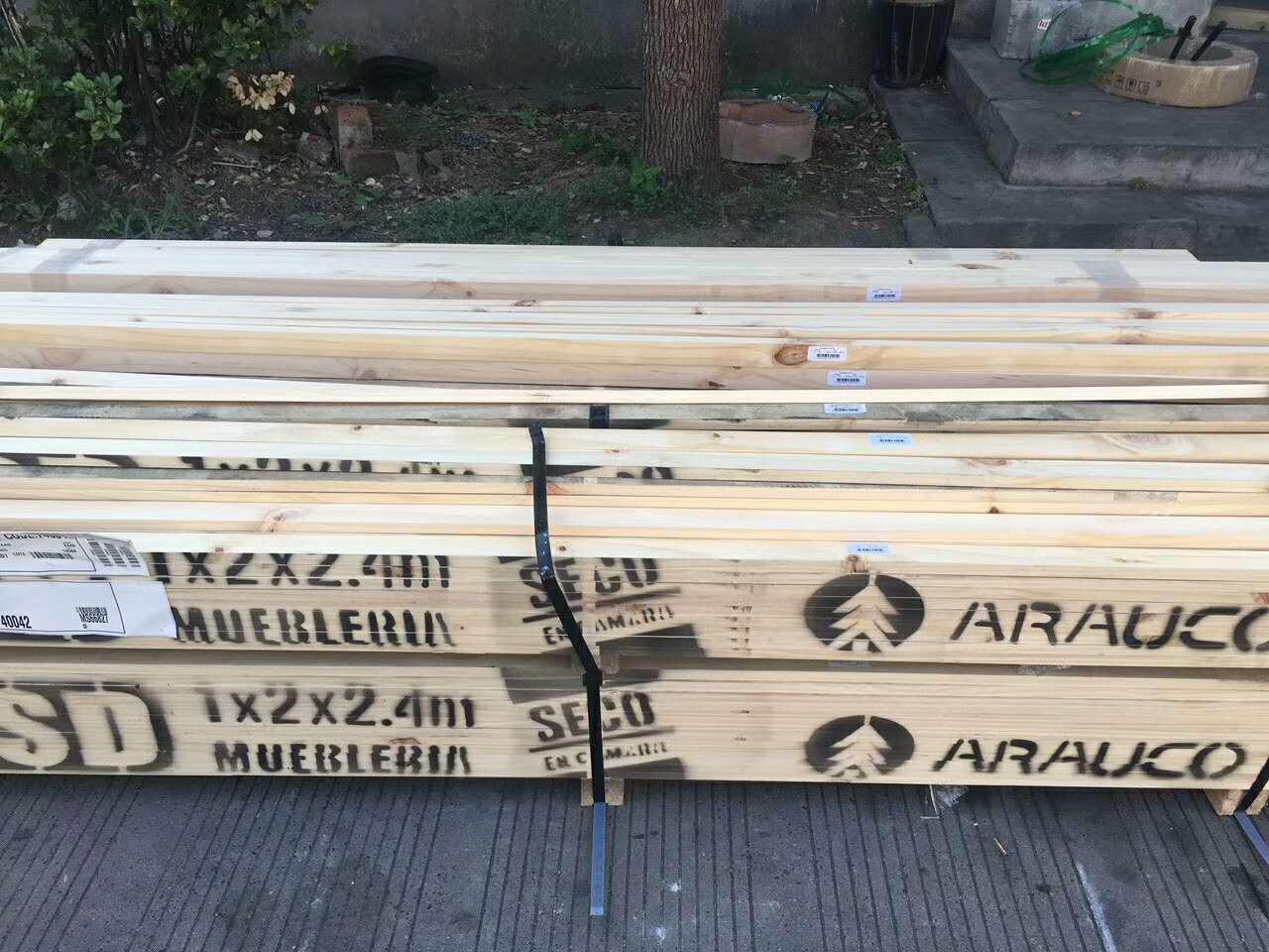供应智利辐射松刨光板