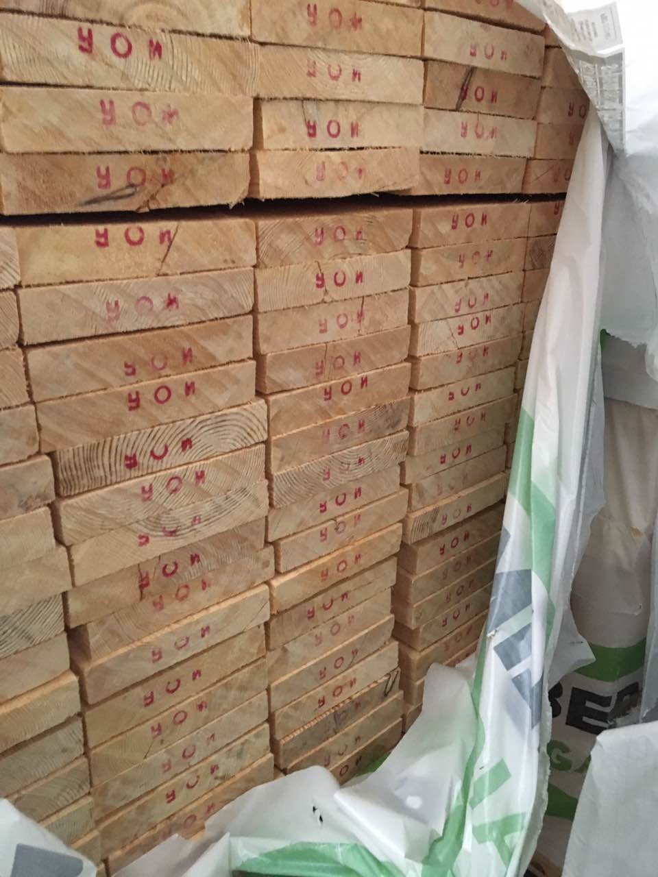 伊利姆樟子松