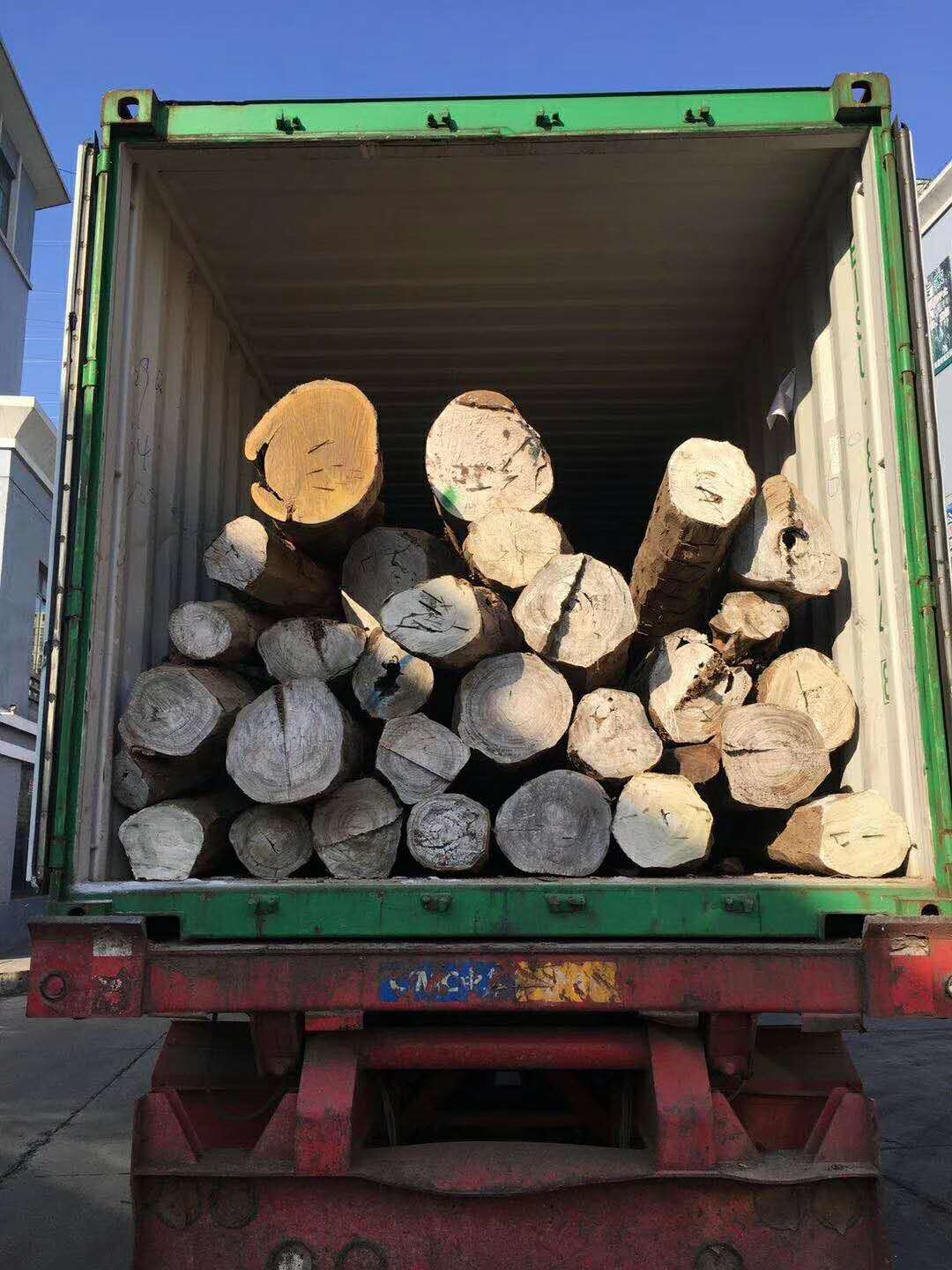 阿根廷绿檀去皮原木新货大量到港