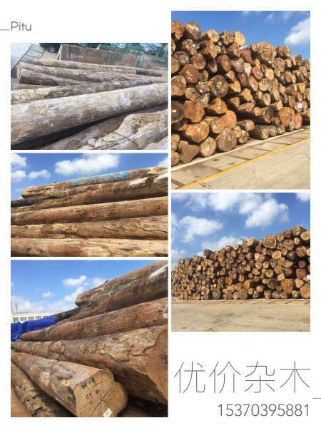所罗门杂木