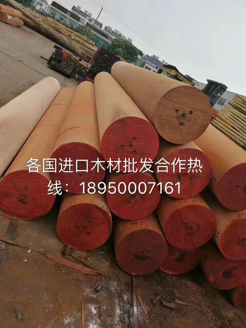 菠萝格批发