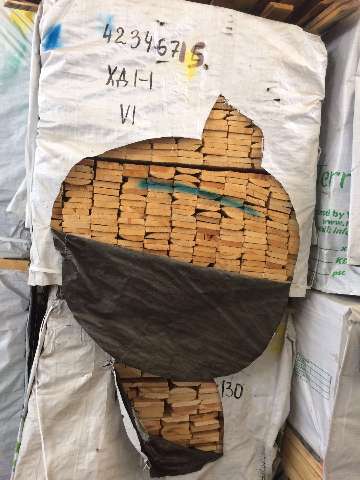 特价 樟子松