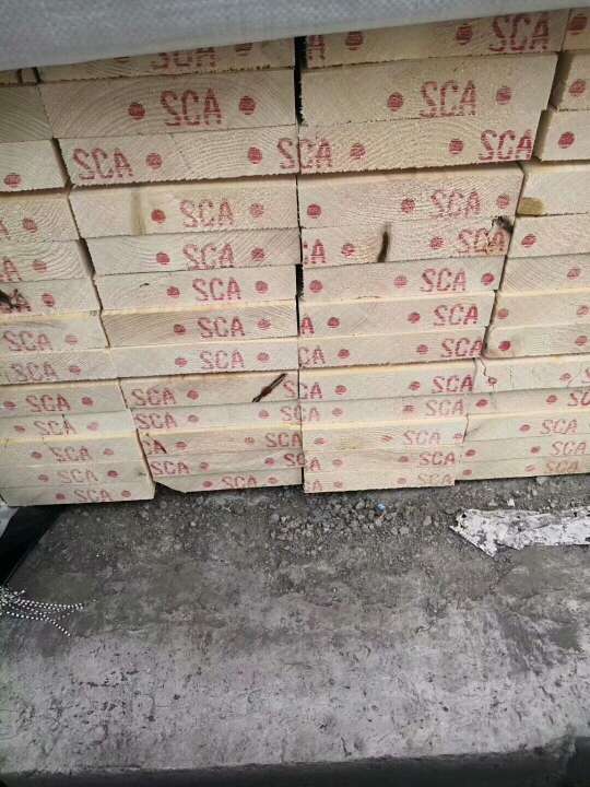 SCA云杉
