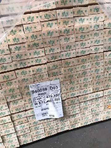 梅沙云杉