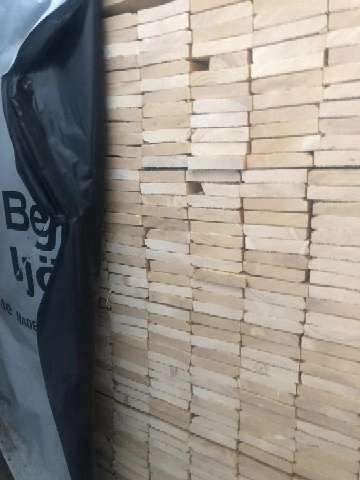 欧洲云杉