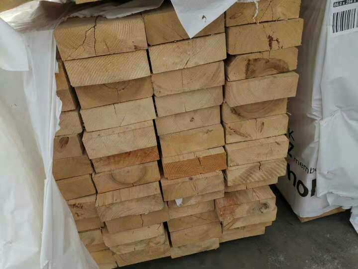 德国云杉