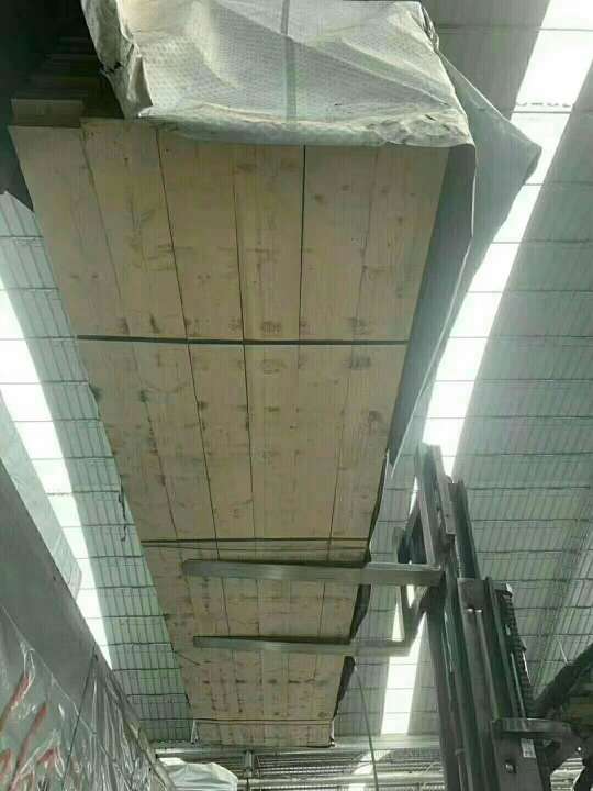 UPM云杉