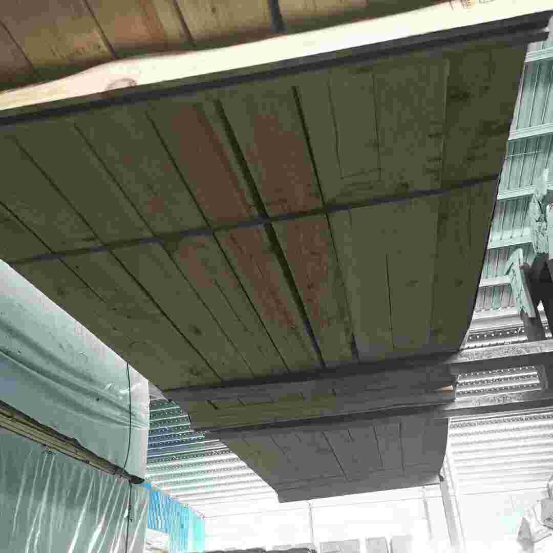 樟子松